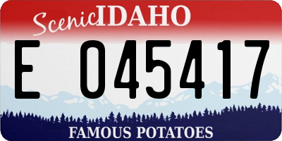 ID license plate E045417