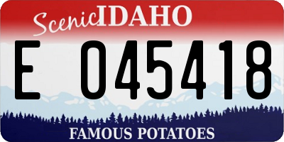 ID license plate E045418