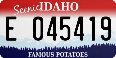 ID license plate E045419