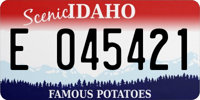 ID license plate E045421