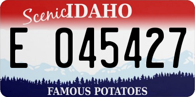 ID license plate E045427