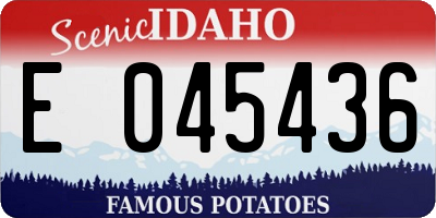 ID license plate E045436