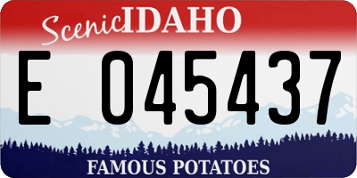 ID license plate E045437