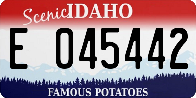 ID license plate E045442