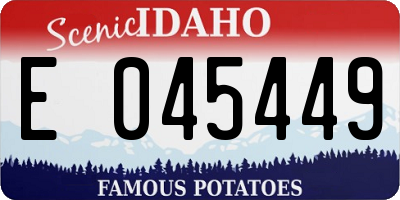 ID license plate E045449