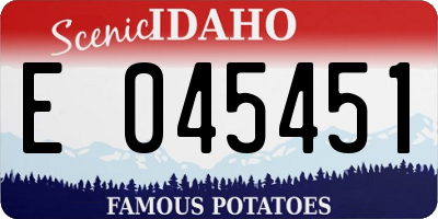 ID license plate E045451