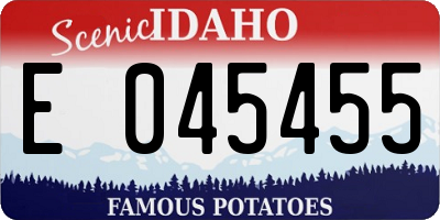 ID license plate E045455