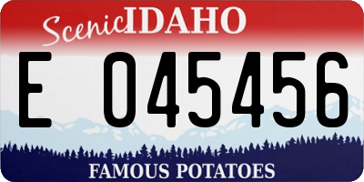 ID license plate E045456