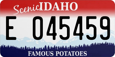 ID license plate E045459