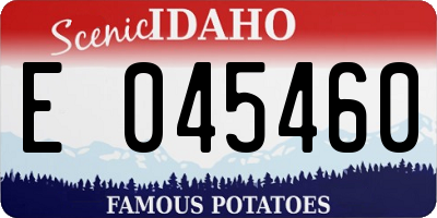 ID license plate E045460