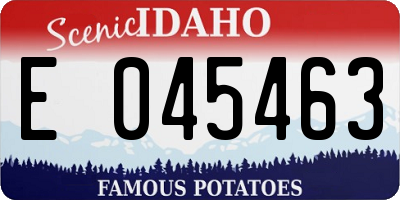 ID license plate E045463