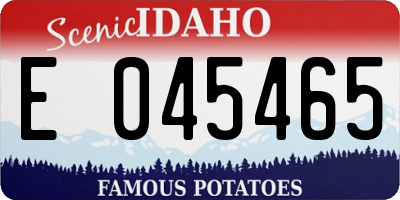 ID license plate E045465