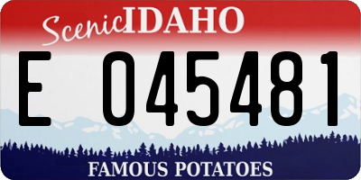 ID license plate E045481