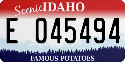 ID license plate E045494