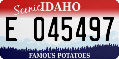 ID license plate E045497