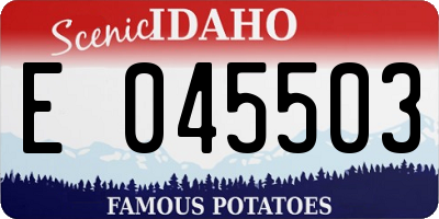 ID license plate E045503