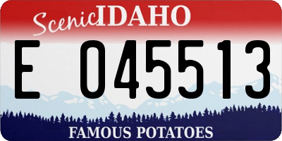 ID license plate E045513