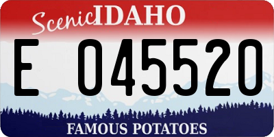 ID license plate E045520