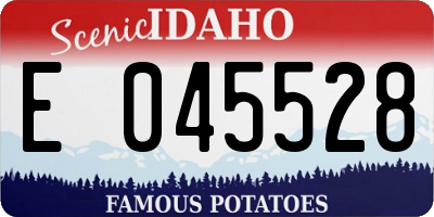 ID license plate E045528