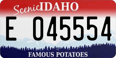 ID license plate E045554