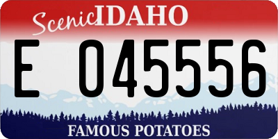 ID license plate E045556