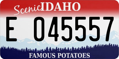 ID license plate E045557