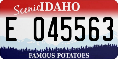ID license plate E045563