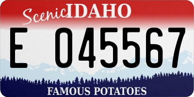 ID license plate E045567