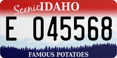ID license plate E045568