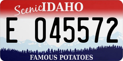 ID license plate E045572