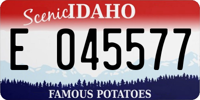 ID license plate E045577