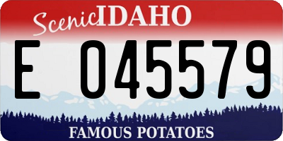 ID license plate E045579