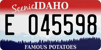 ID license plate E045598
