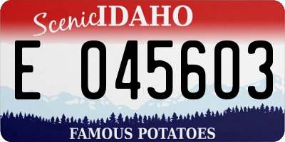 ID license plate E045603