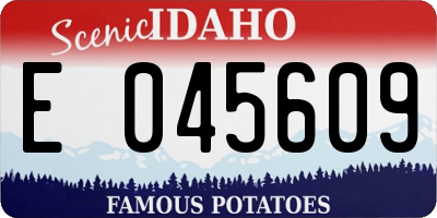 ID license plate E045609