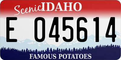 ID license plate E045614