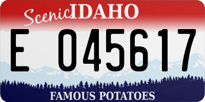 ID license plate E045617
