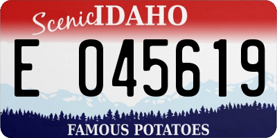 ID license plate E045619