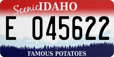 ID license plate E045622