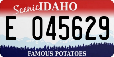 ID license plate E045629