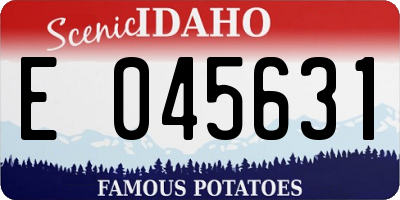 ID license plate E045631