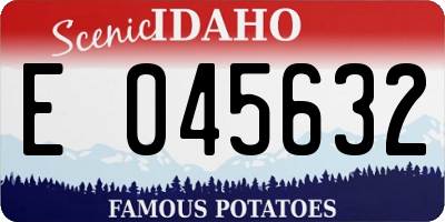 ID license plate E045632