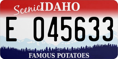 ID license plate E045633