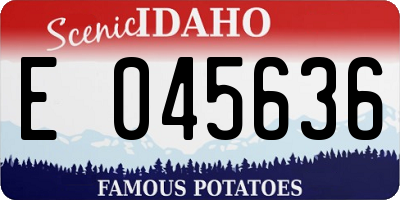 ID license plate E045636