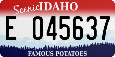 ID license plate E045637