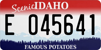 ID license plate E045641