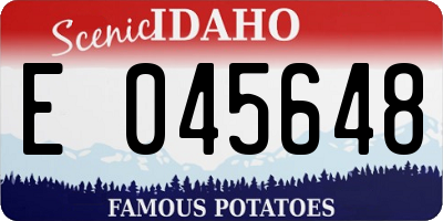 ID license plate E045648