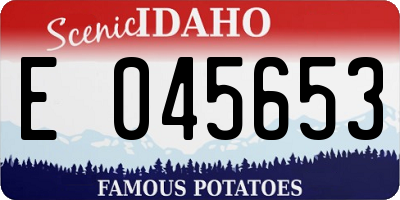 ID license plate E045653