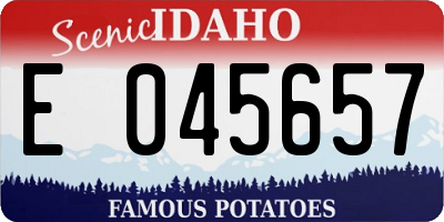 ID license plate E045657