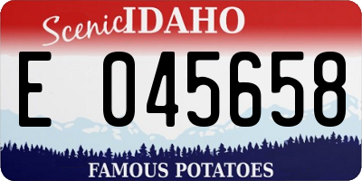 ID license plate E045658